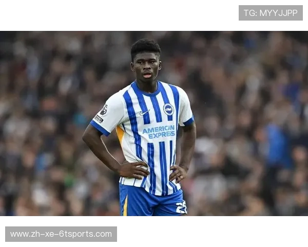 英超布莱顿球衣设计及球队特色介绍